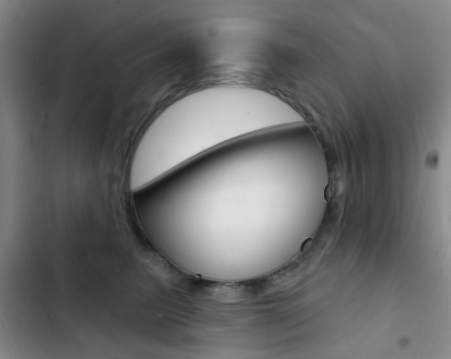 X0000103240615200808281035