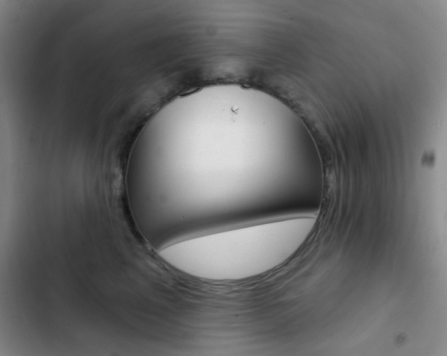 X0000103240617200808281035