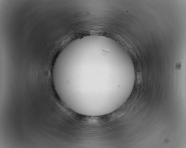 X0000103240618200808281035