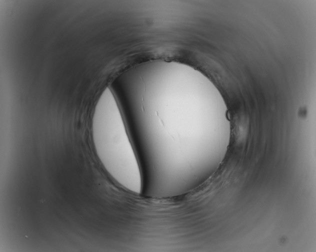 X0000103240619200808281035