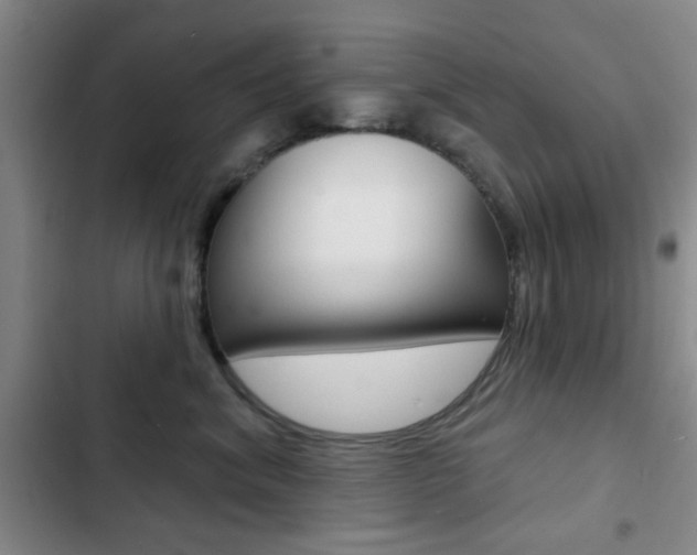 X0000103240620200808281035