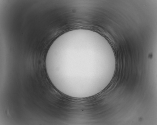 X0000103240621200808281035