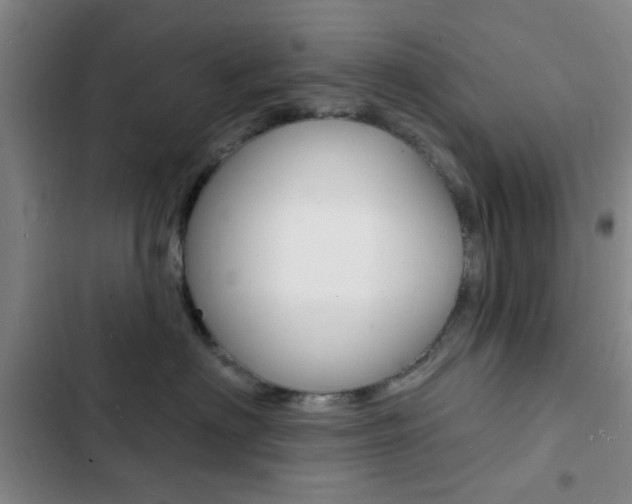 X0000103240622200808281035