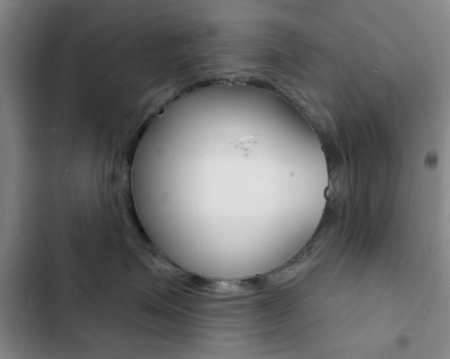 X0000103240623200808281035