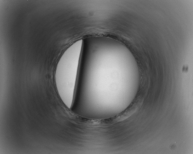 X0000103240624200808281035
