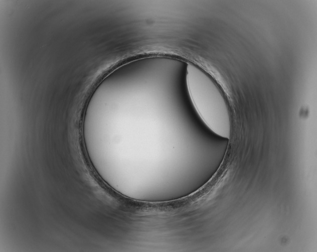 X0000103240625200808281034