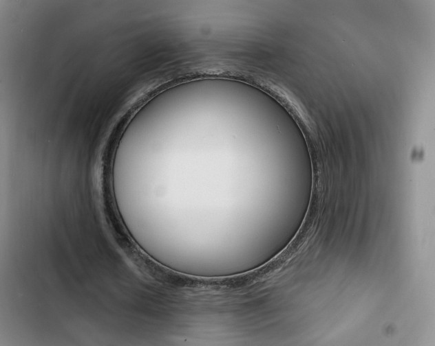 X0000103240626200808281034