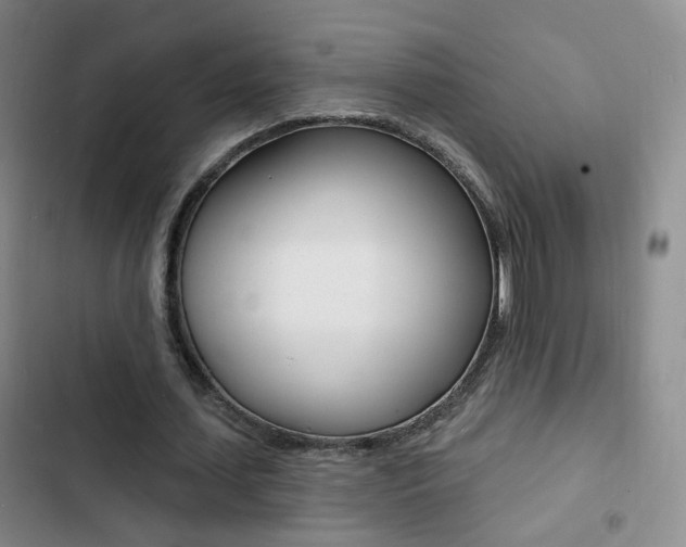 X0000103240627200808281034