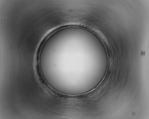 X0000103240628200808281034