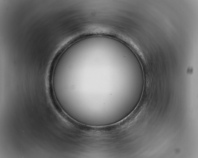 X0000103240629200808281034