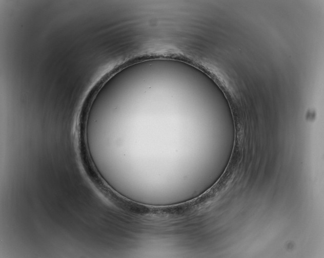 X0000103240630200808281034