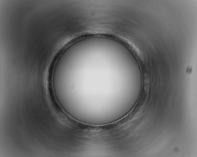 X0000103240631200808281034