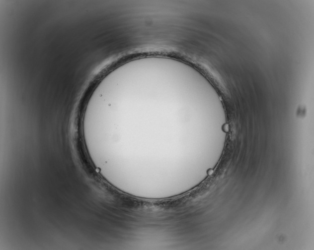 X0000103240632200808281034