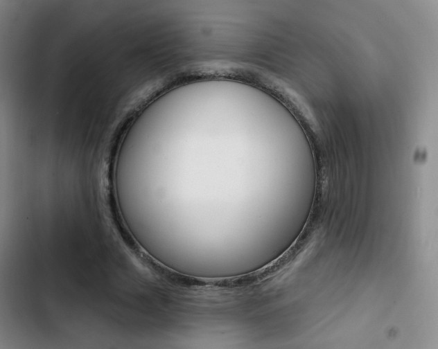 X0000103240633200808281034