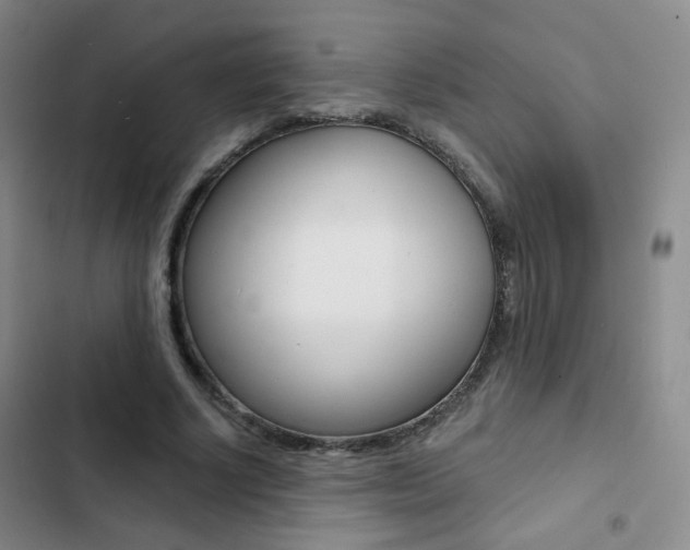 X0000103240634200808281034