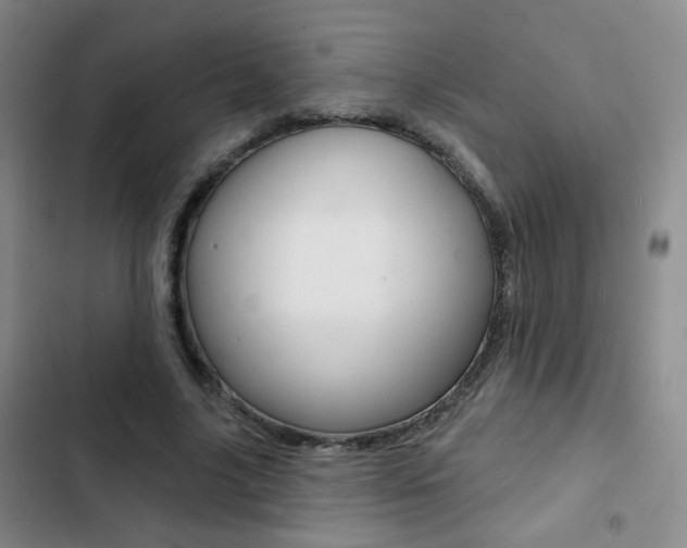 X0000103240635200808281034