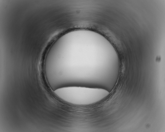 X0000103240636200808281034