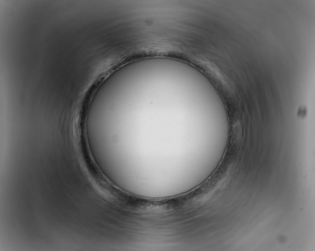 X0000103240638200808281034