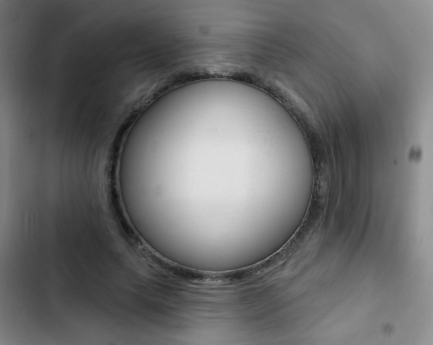 X0000103240639200808281034