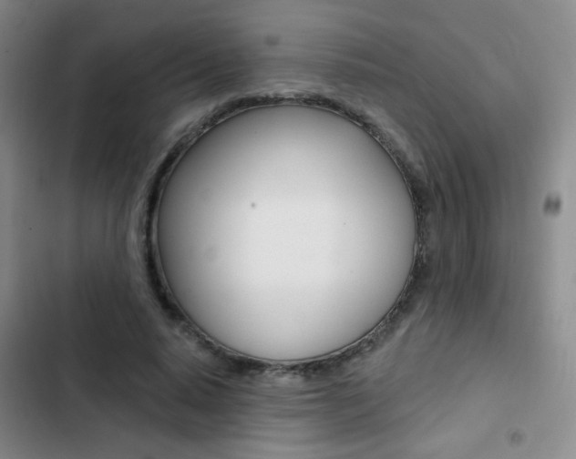 X0000103240640200808281034