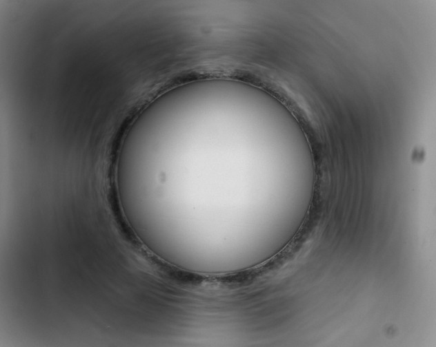 X0000103240641200808281034