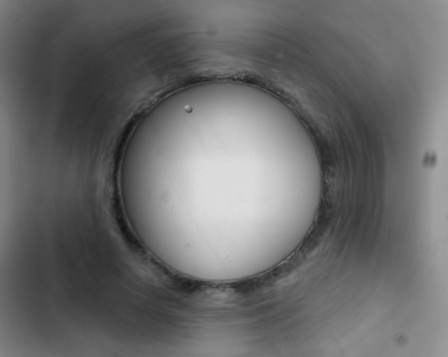 X0000103240642200808281034