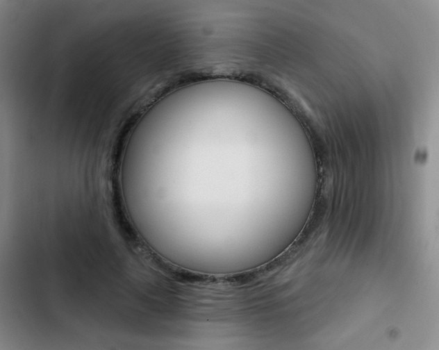 X0000103240643200808281034