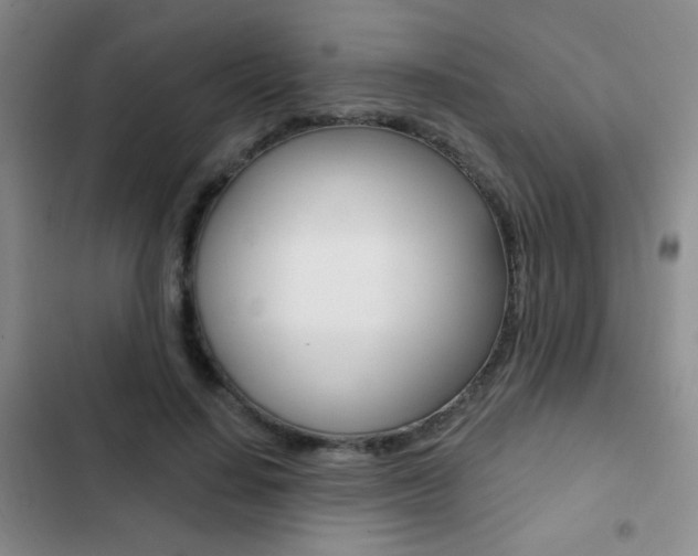 X0000103240644200808281034