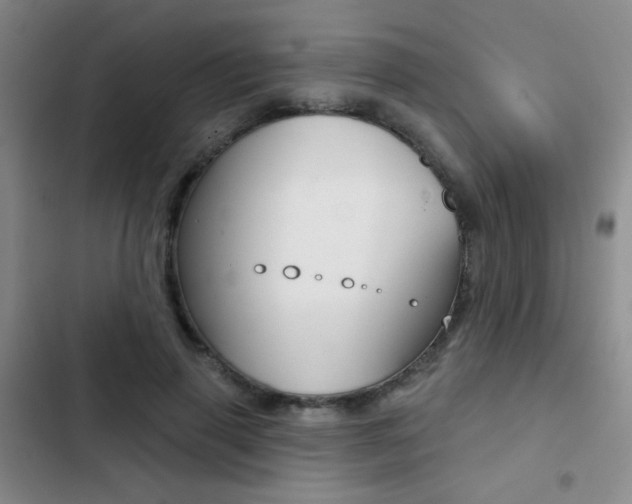 X0000103240645200808281034