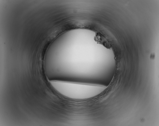 X0000103240646200808281034