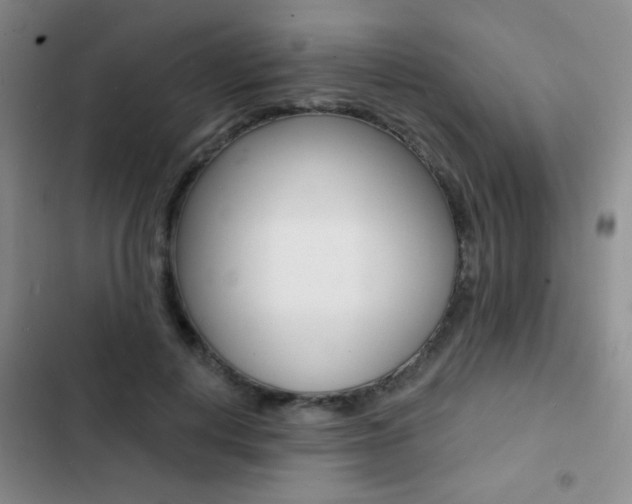 X0000103240648200808281034