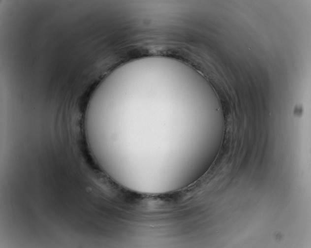 X0000103240650200808281034