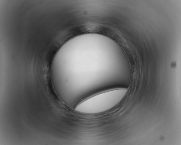 X0000103240651200808281035