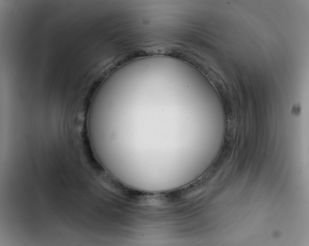 X0000103240652200808281035