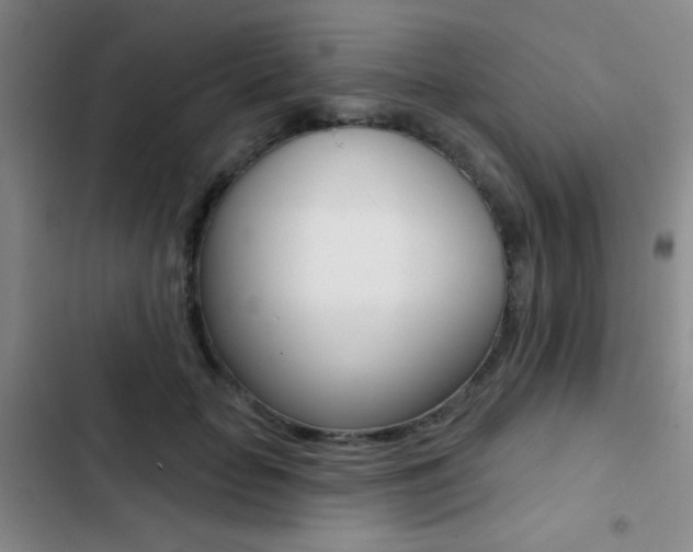 X0000103240653200808281035