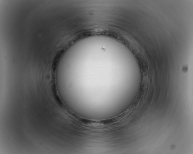 X0000103240654200808281035