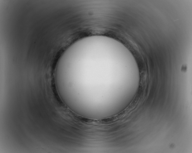 X0000103240655200808281035