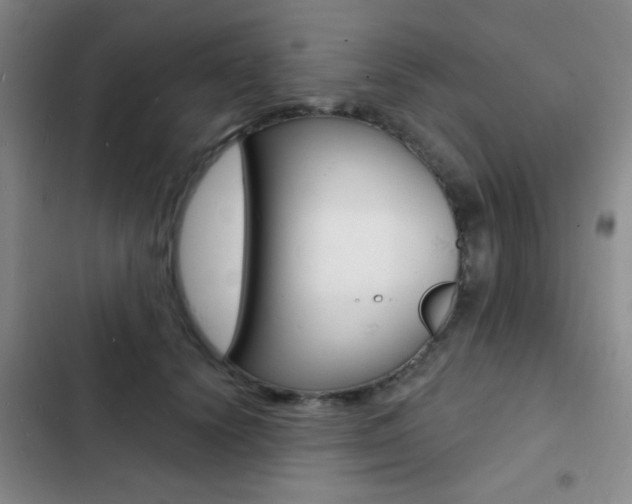 X0000103240656200808281035