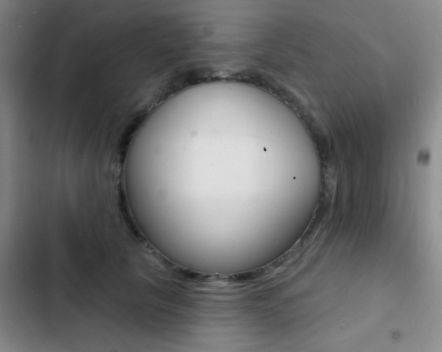 X0000103240657200808281035