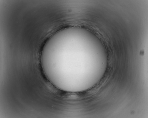 X0000103240658200808281035