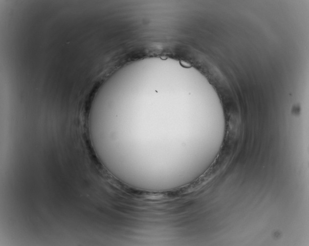 X0000103240659200808281035