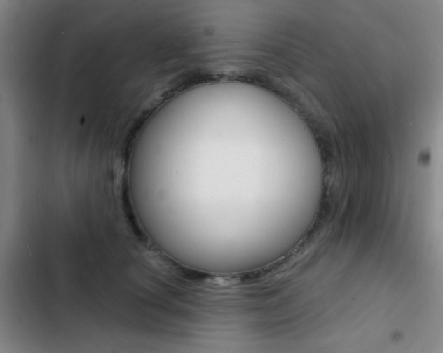 X0000103240660200808281035