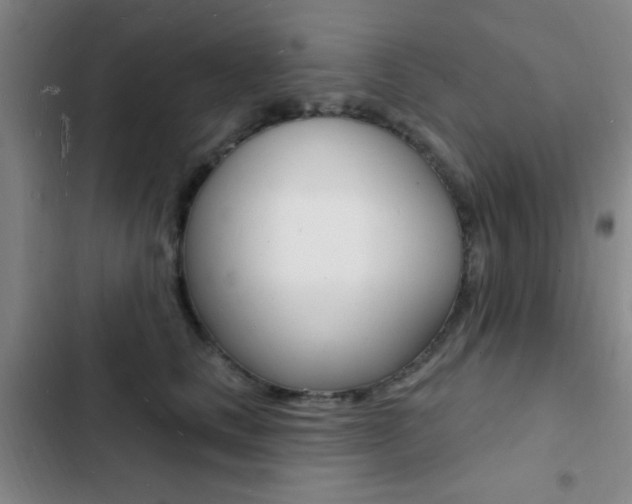 X0000103240661200808281035