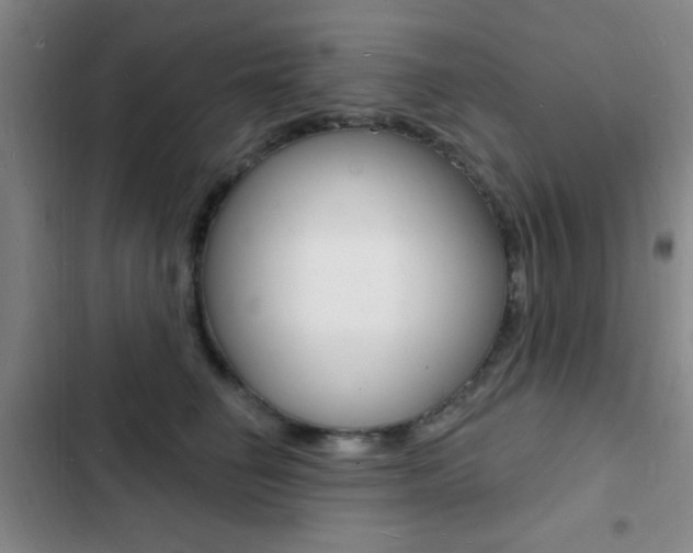 X0000103240662200808281035