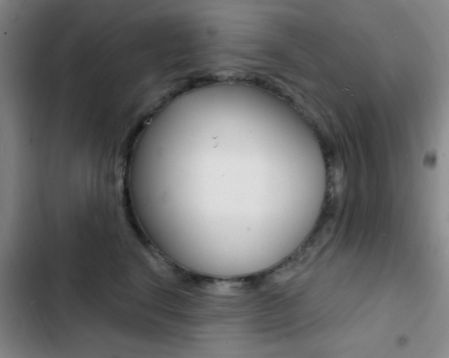 X0000103240664200808281035