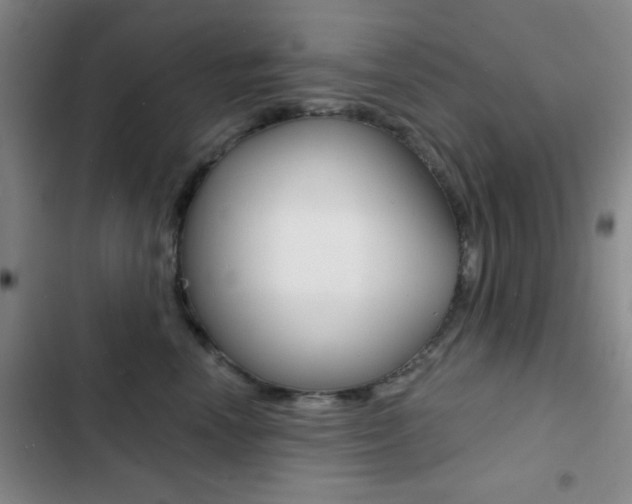 X0000103240666200808281035