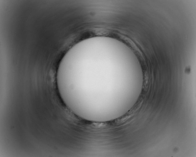 X0000103240667200808281035