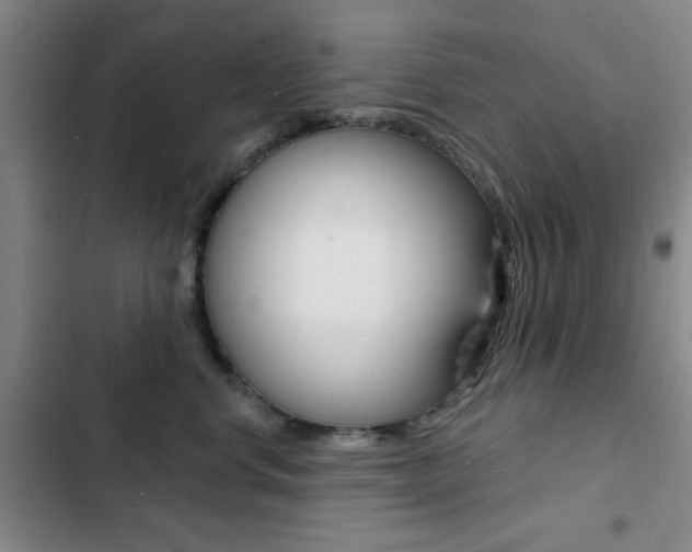 X0000103240668200808281035