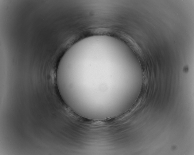 X0000103240669200808281035