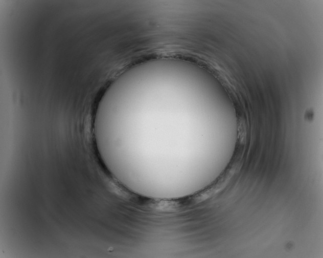 X0000103240670200808281035